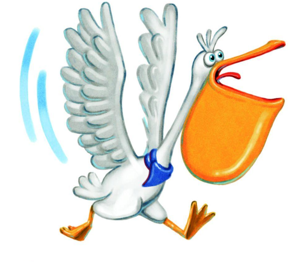 flap
