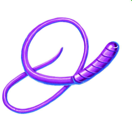 whip